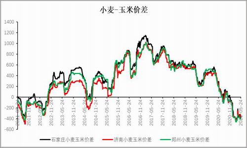 （2025年1月6日）今日小麦期货和美小麦价格行情查询