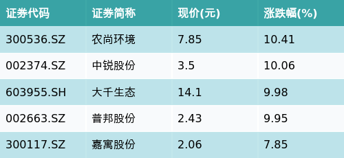 大千生态(603955.SH)：选举张源为董事长