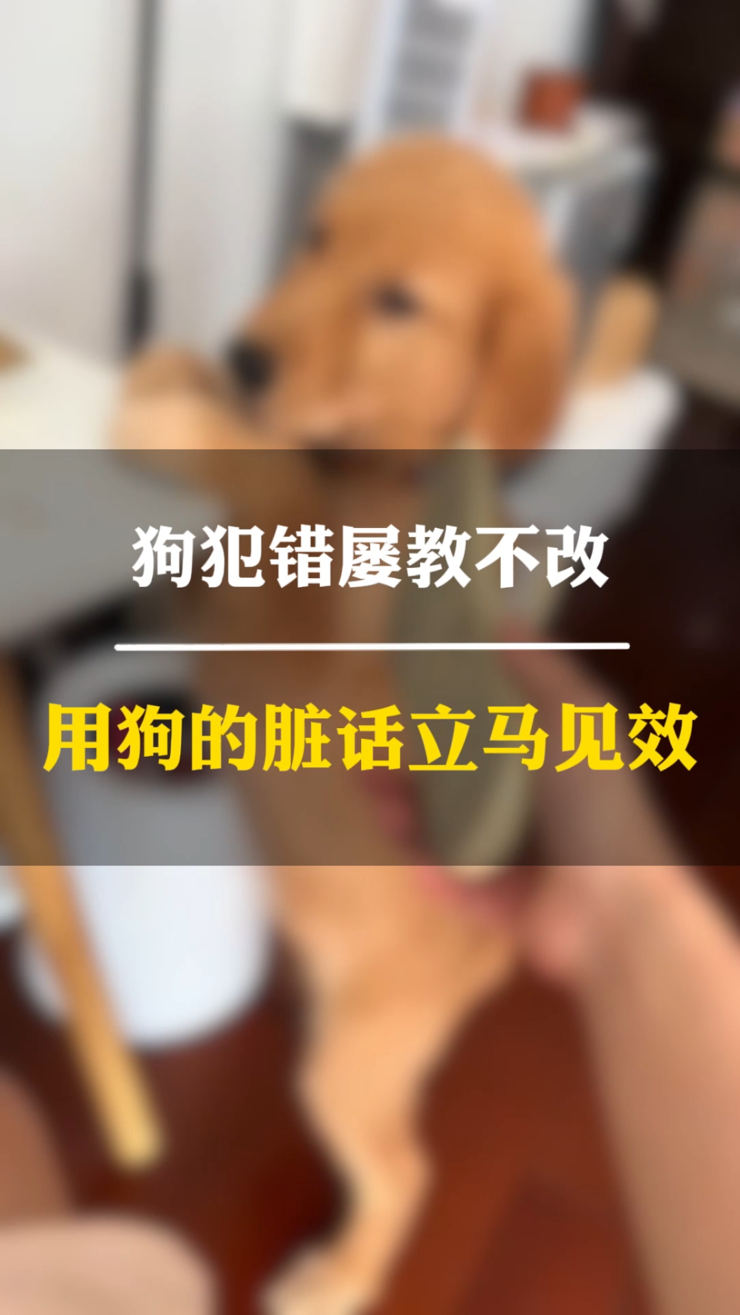 屡犯不改 华天科技子公司再领罚单