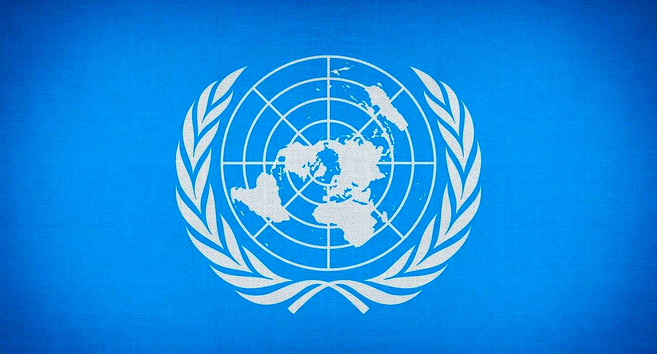 赤几参加联合国经社理事会发展筹资后续行动论坛