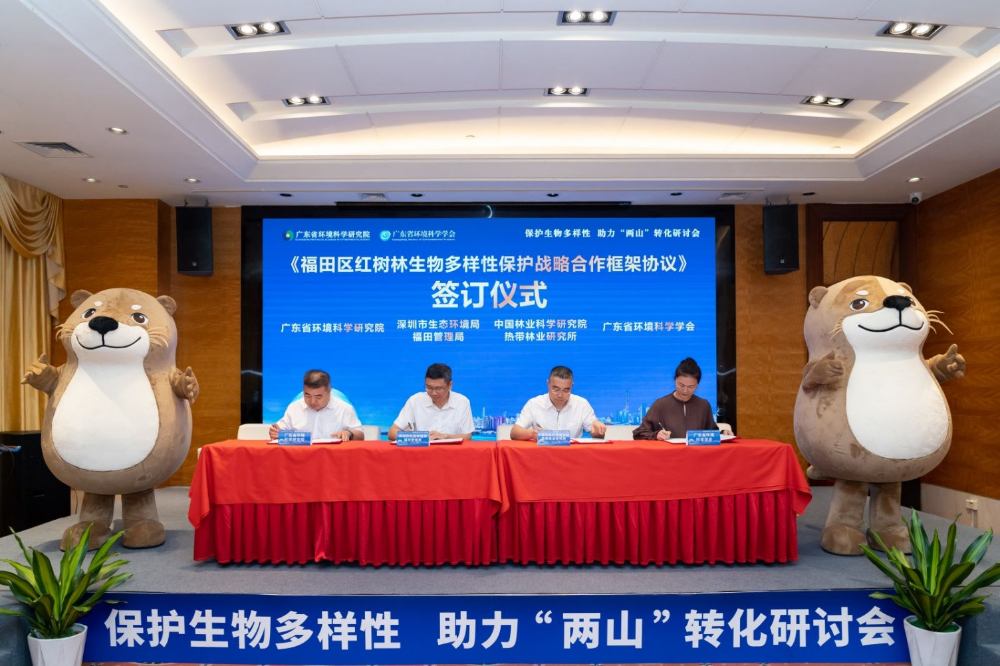 第十届中国网络版权保护与发展大会在深圳举办