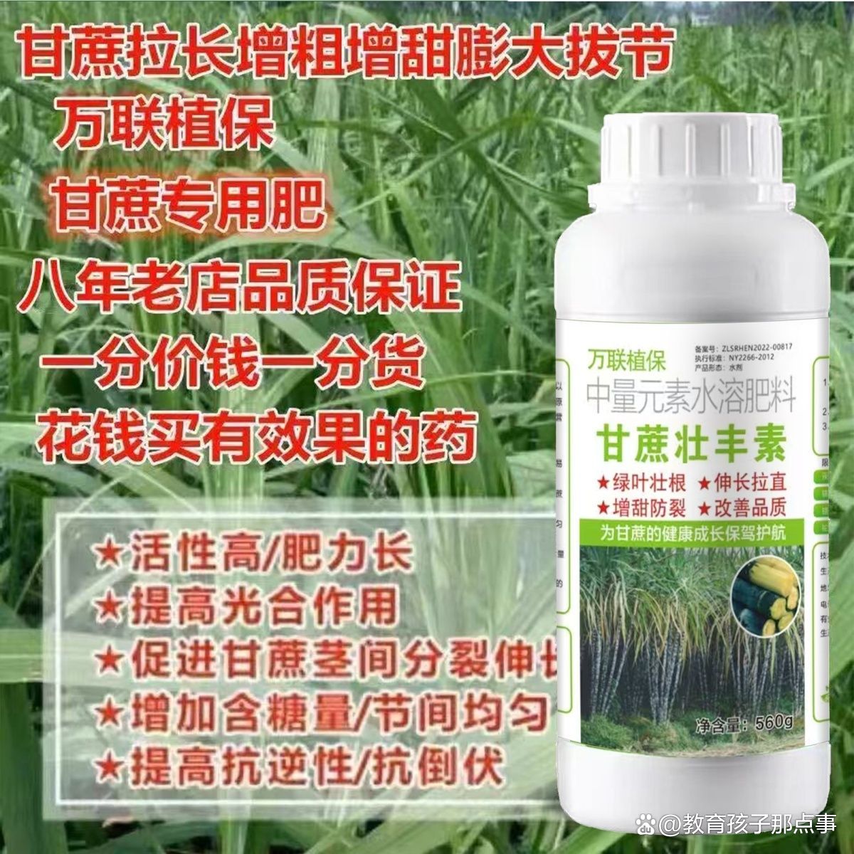 我科学家破解甘蔗增糖关键基因